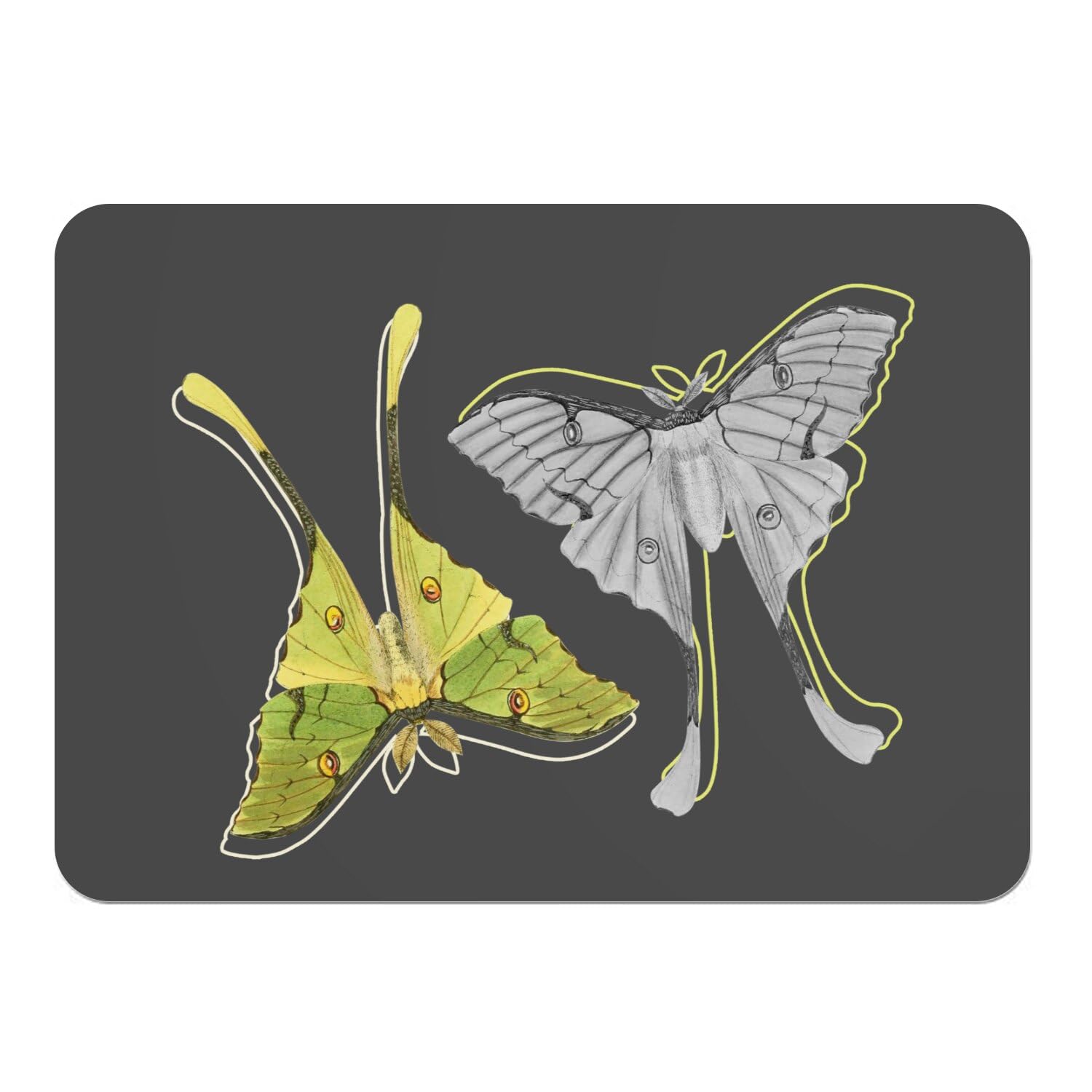 Dessous en liège napperon noir papillon grand format set de table souple
