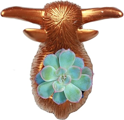 Miniatura 2 de Vrogadso Highland Cow - Maceta decorativa para plantas suculentas al aire libre, maceta de resina