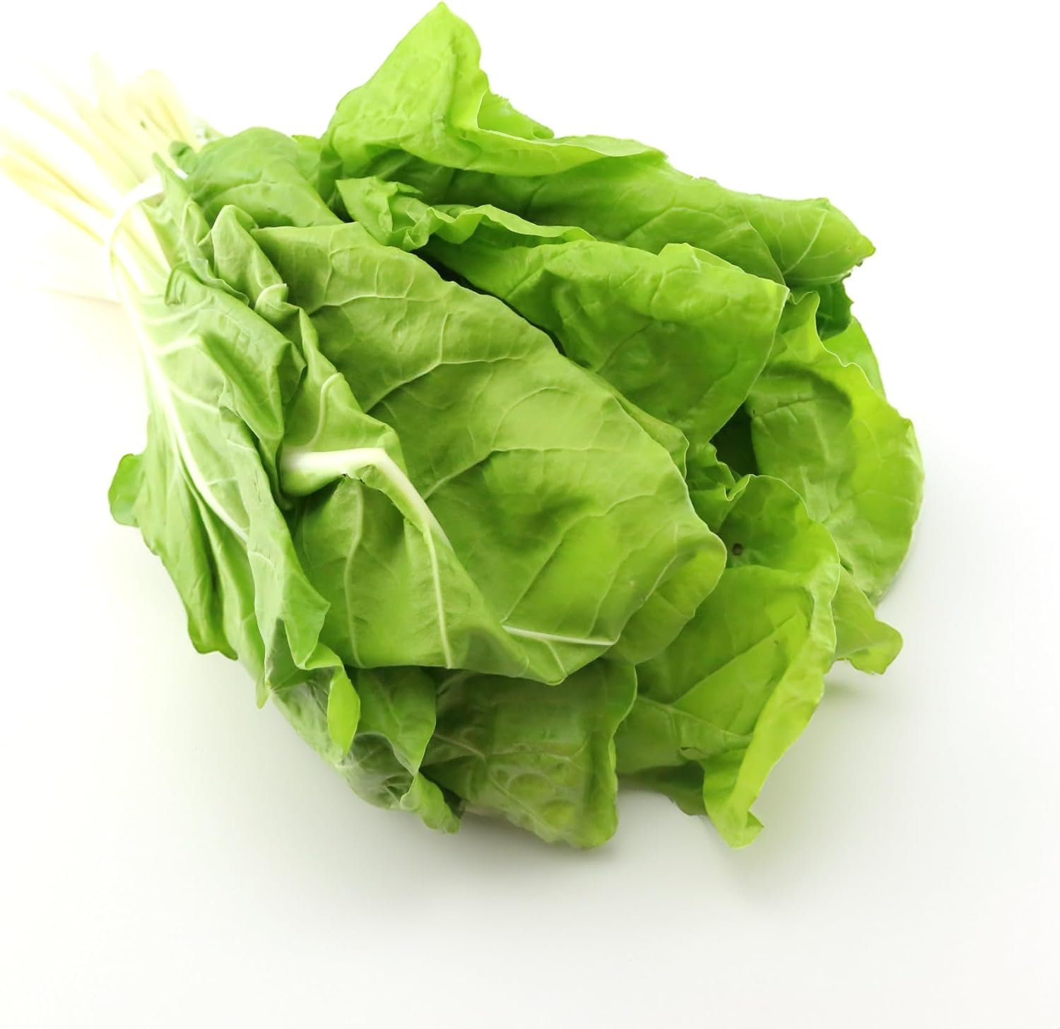 Acelga - 800 g - Imagen 4