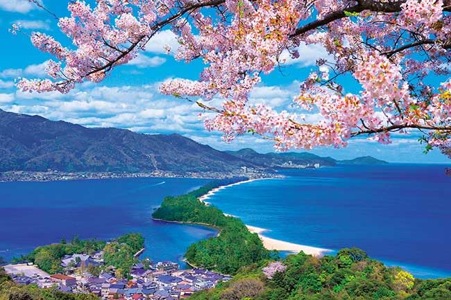 APPLEONE 1000-868 Jigsaw Puzzle, Cherry Blooms Tenhashidate, Kyoto Prefecture, 1000 Pieces, 29.5 x 19.7 inches (75 x 50 cm), Made in Japan, Japanese Landscape : Toys & Games