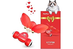 Maymaw Cat Toy: The Smart and Fun Cat Toy for Indoor Entertainment