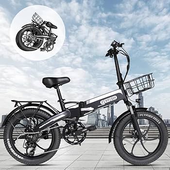 Amazon | FLYFISH 折りたたみ自転車 型式認定 公道走行可能 免許不要