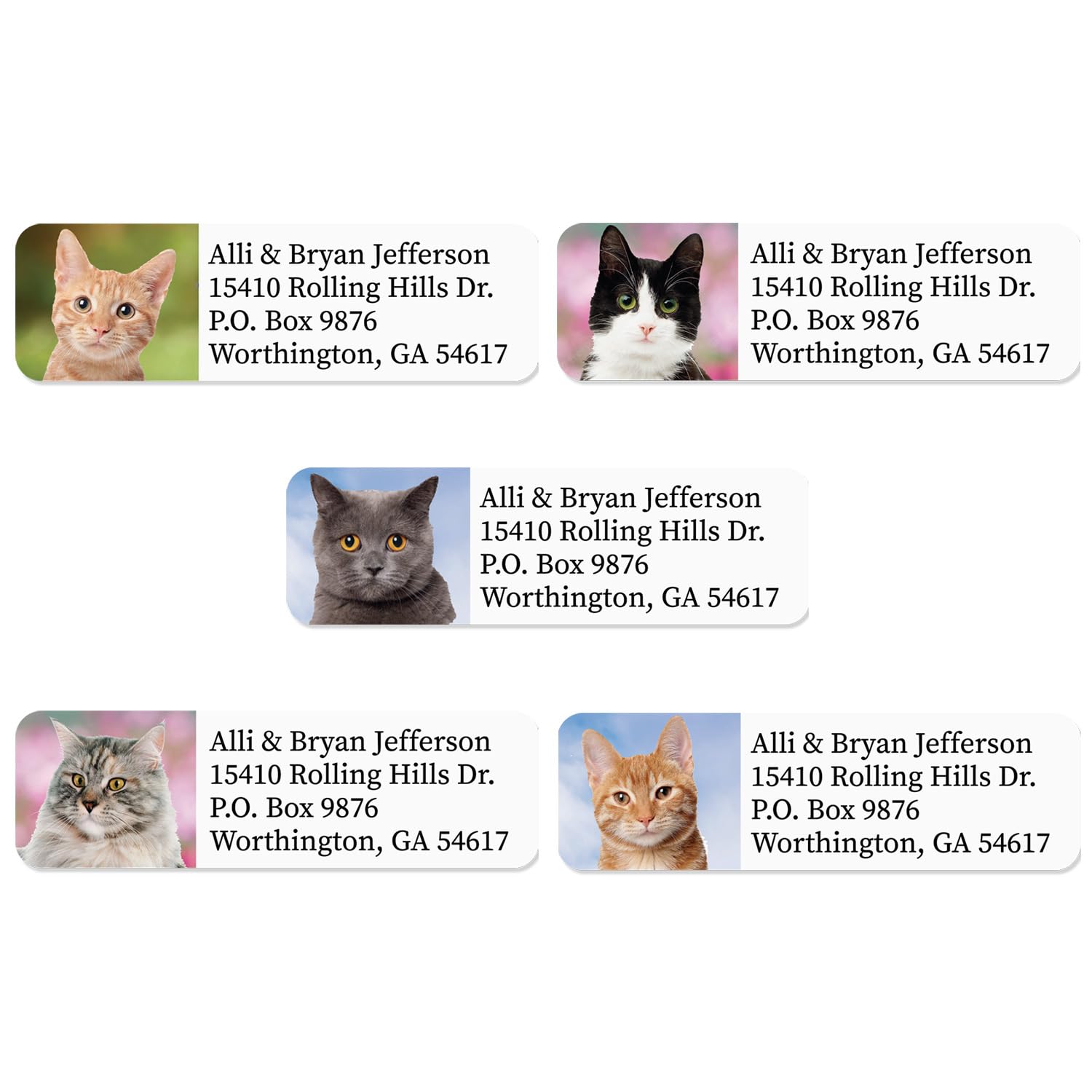 Alternating Colorful Cats Rolled Address Labels / 250 Personalized Return Address Labels/Designer Address Stickers in Elegant Plastic Dispenser