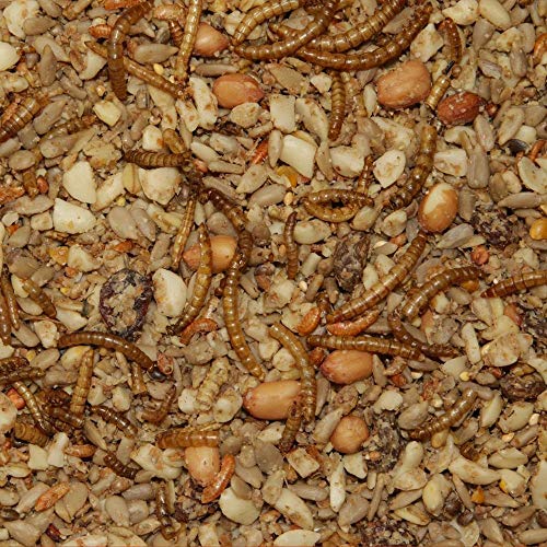 Paul´s Mühle Premium Ganzjahresfutter für Wildvögel mit extra hohem Fettanteil, Vogelfutter zur Ganzjahresfütterung, Senkrechtstarter, 5 kg