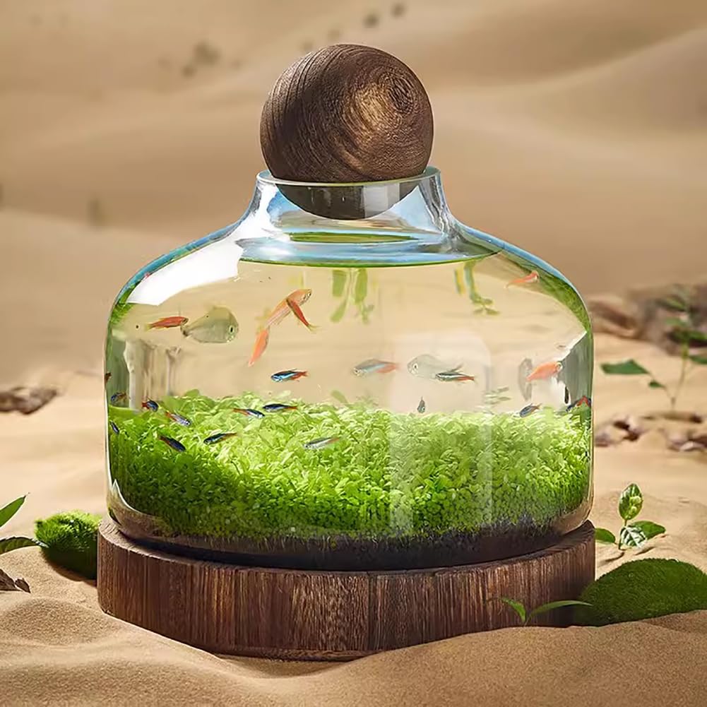 Acquario per Pesci Betta, Moderno Ed Elegante Acquario per Pesci Betta, Acquario in Vetro con Base in Legno, Piccolo Acquario per Pesci Rossi, Boccia in Vetro Ultra Trasparente,L