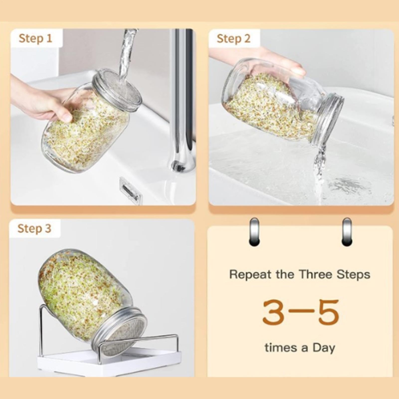 Frasco Germinador Brotes Ancha Con Opaca Y Soporte | Kit Cultivo Brotes De Legumbre Apto para Salón, Cocina, Balcón, Frutos Secos, Granos, Brócoli, Alfalfa y Soja
