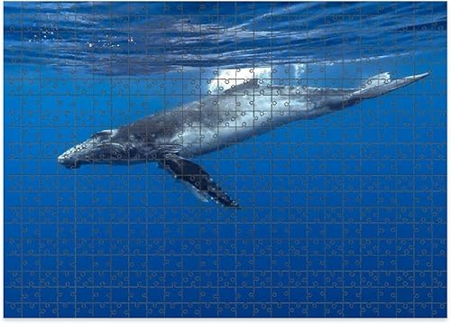 Rompecabezas de 1000 piezas de madera con letras de diseño de área Baleine Bosse rompecabezas regalos para adultos niños rompecabezas familia