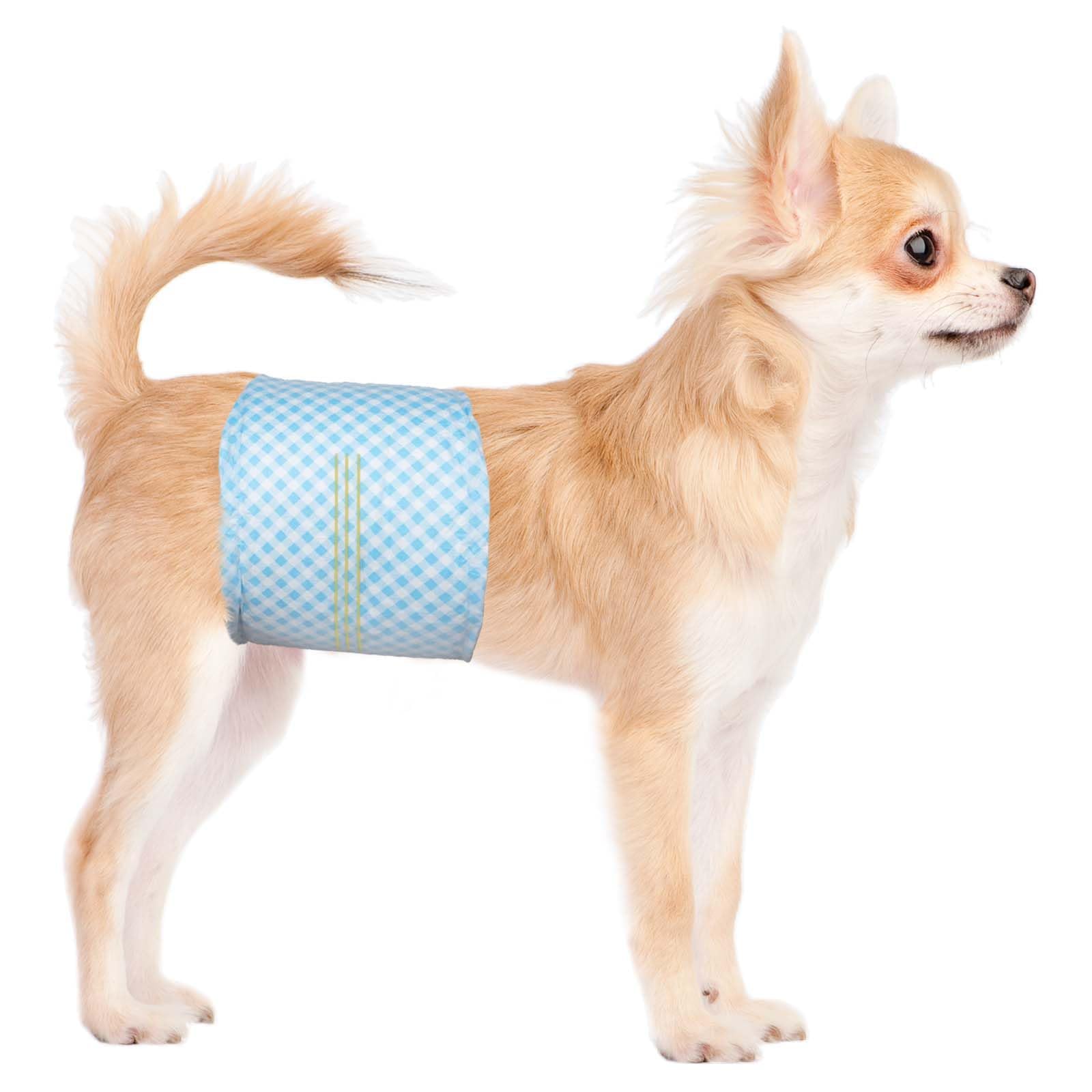Flying Paws Bande per pancia usa e getta per cani maschi, con indicatore di umidità, super assorbenti, morbidi, pannolini per cani maschili (L, 20)