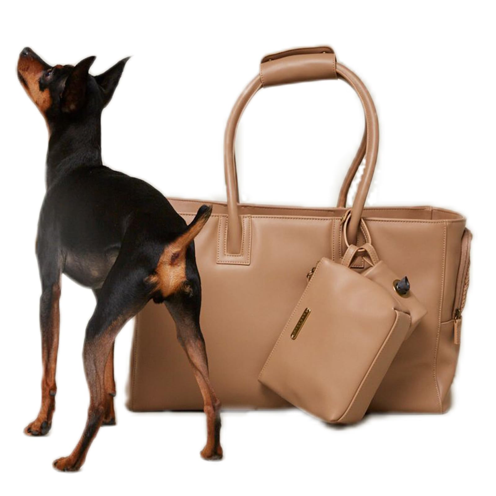 Amazon | [citydog/シティドッグ] シティトートキャリー ｜ 犬