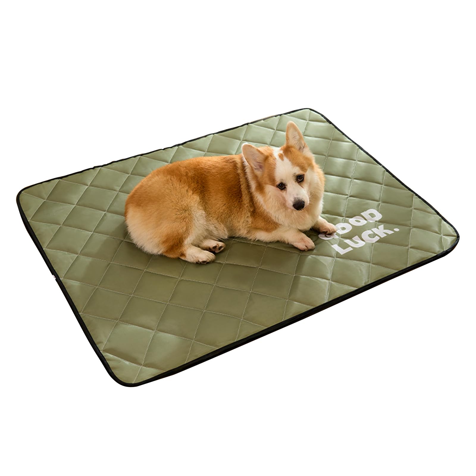Jyswx Self Heating Pet Blanket for Cats and Dogs – Washable Extra Soft Thermal Mat, Non-Slip Heated Pet Bed Cover, Warm Cushion for Puppies & Kittens, Green, 90 × 120 cm