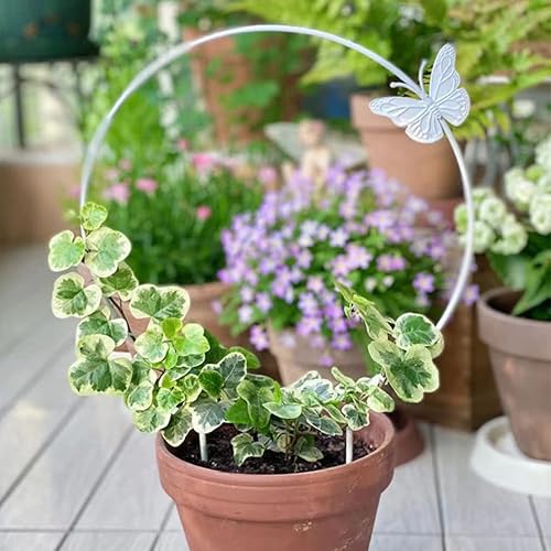 Miniatura 3 de 2 enrejados de metal para plantas de jardín, enrejado, círculo redondo, enrejado, soporte para plantas de vid para interiores y exteriores, flores,