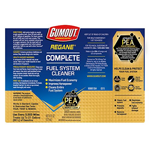 Image of Gumout 800001364 Regane Complete Fuel System Cleaner - 6 oz.