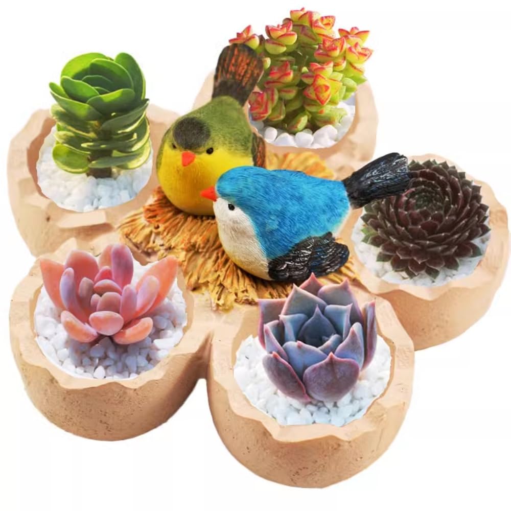 Fantasee Succulent Pot, Small Garden Pots with Drainage Hole