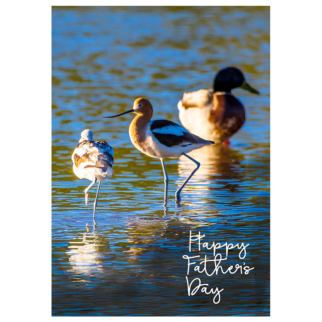 Sandpiper and Ducks Fine Art Photography Father's Day Greeting Card (Inside Reads: You have always been my hero, my inspiration, my friend)