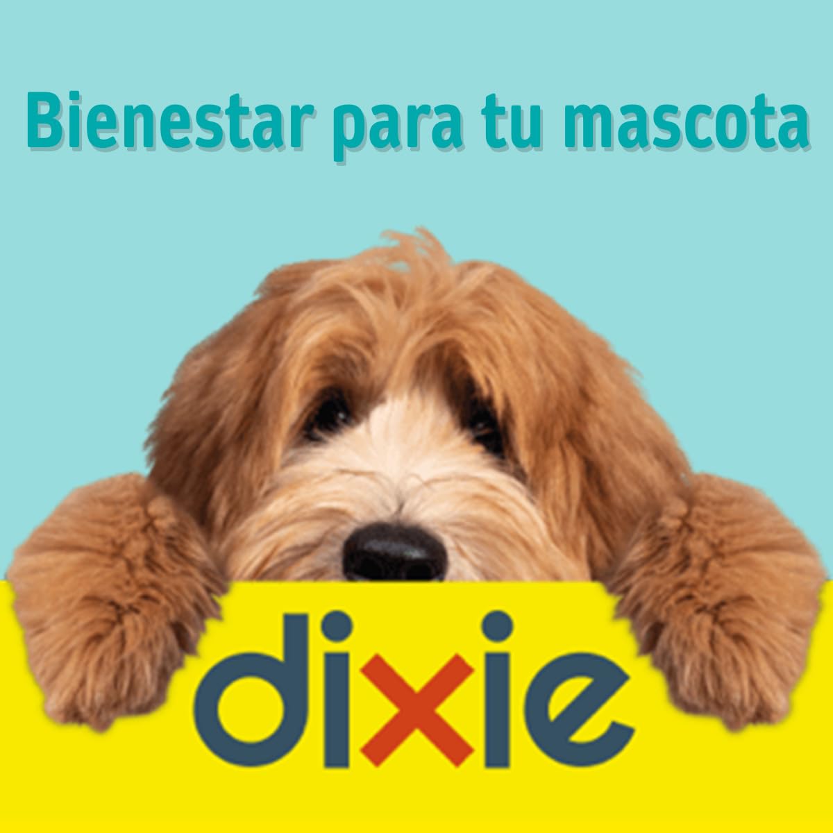 DIXIE - Pipetas Repelentes Gatos - 4 uds x 1 ml - Pipetas Repelentes - 4 Meses de Protección - contra Piojos, Mosquitos, Pulgas y Garrapatas - sin Insecticidas - Todos los Tamaños de Gatos