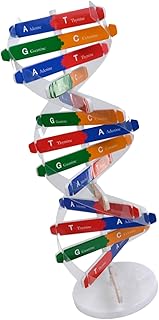 CLISPEED DIY DNA Double Helix Model Kit for Educational Science Assembly Build Human Gene Molecular Teaching Aid for Biolo...