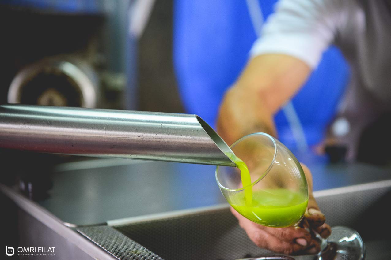 Premium Extra Virgin Barnea Olive Oil by Spice + Leaf - Kosher Mediterranean Full Body Oil for Dipping, Drizzling, Marinades, and Dressings| All Natural | 16.9 fl. oz.