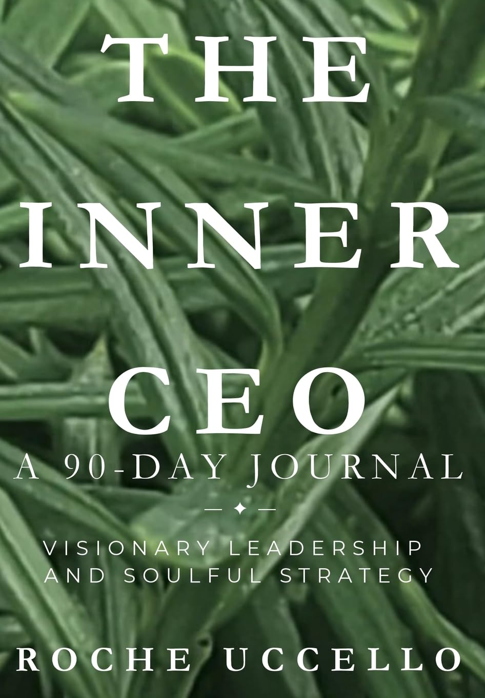 The Inner CEO: A 90-Day Journal: Visionary Leadership and Soulful Strategy: 1