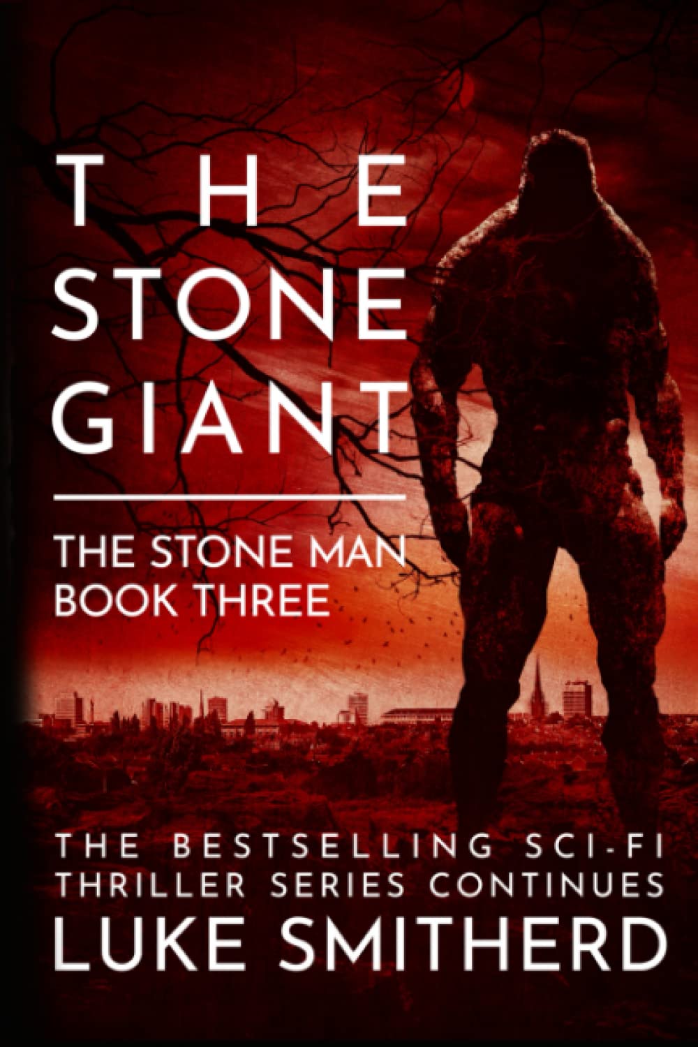 Book cover for The Stone Man series