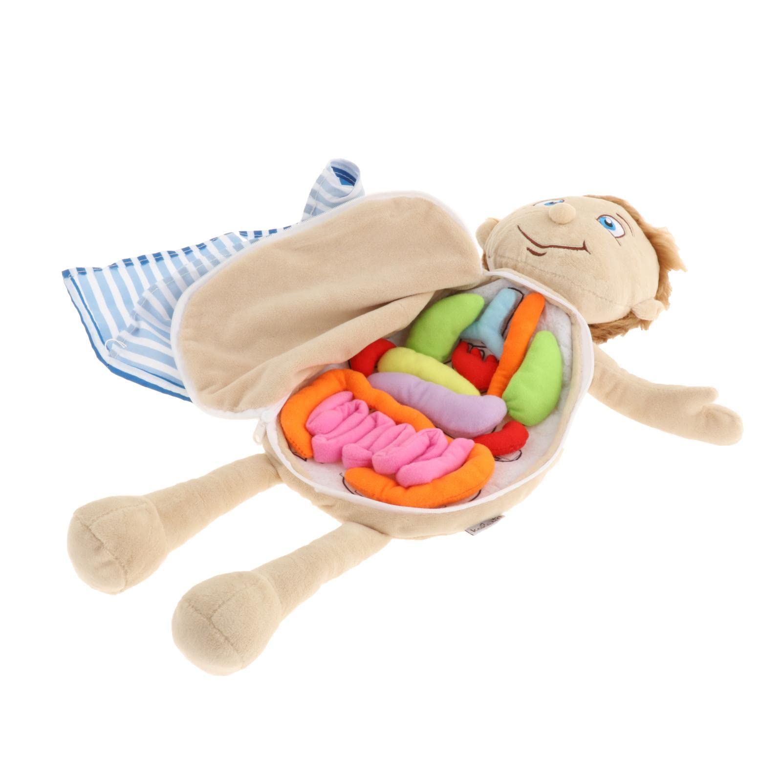 Modelo Interactivo de Anatomía Humana: Una Herramienta Educativa Fascinante para Niños, Multicolor2, 49x33x6cm