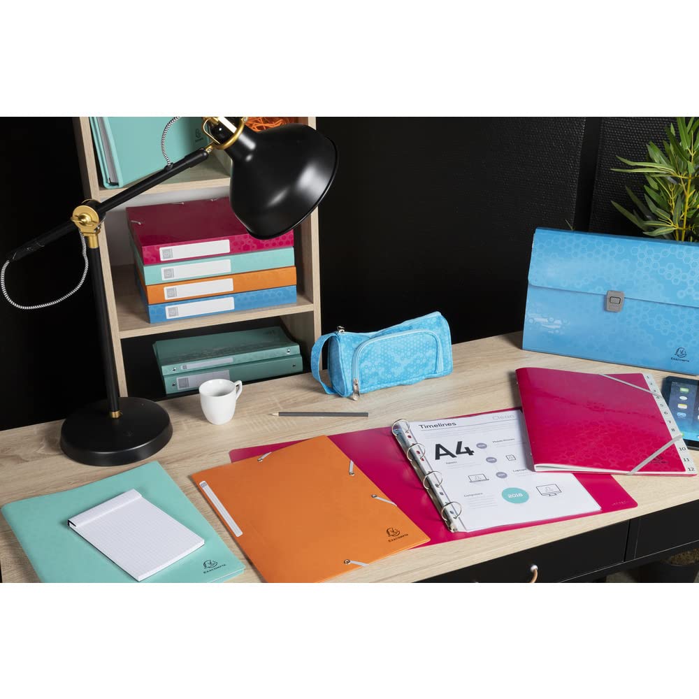 Exacompta 55210E - 3 Flap Elasticated Folder PP A4 Maïa Assorted Colours