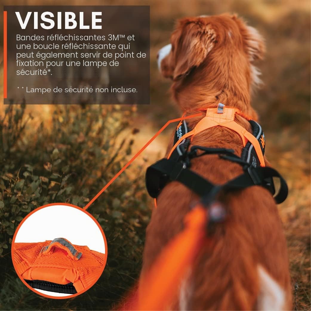 Non-stop dogwear Freemotion Harness 5.0 est Un Harnais de Traction pour Chien pour Les Sports comme la Course, Le vélo et Le Ski avec Les Chiens, Harnais Professionnel réglable. Orange/Noir, Taille 4