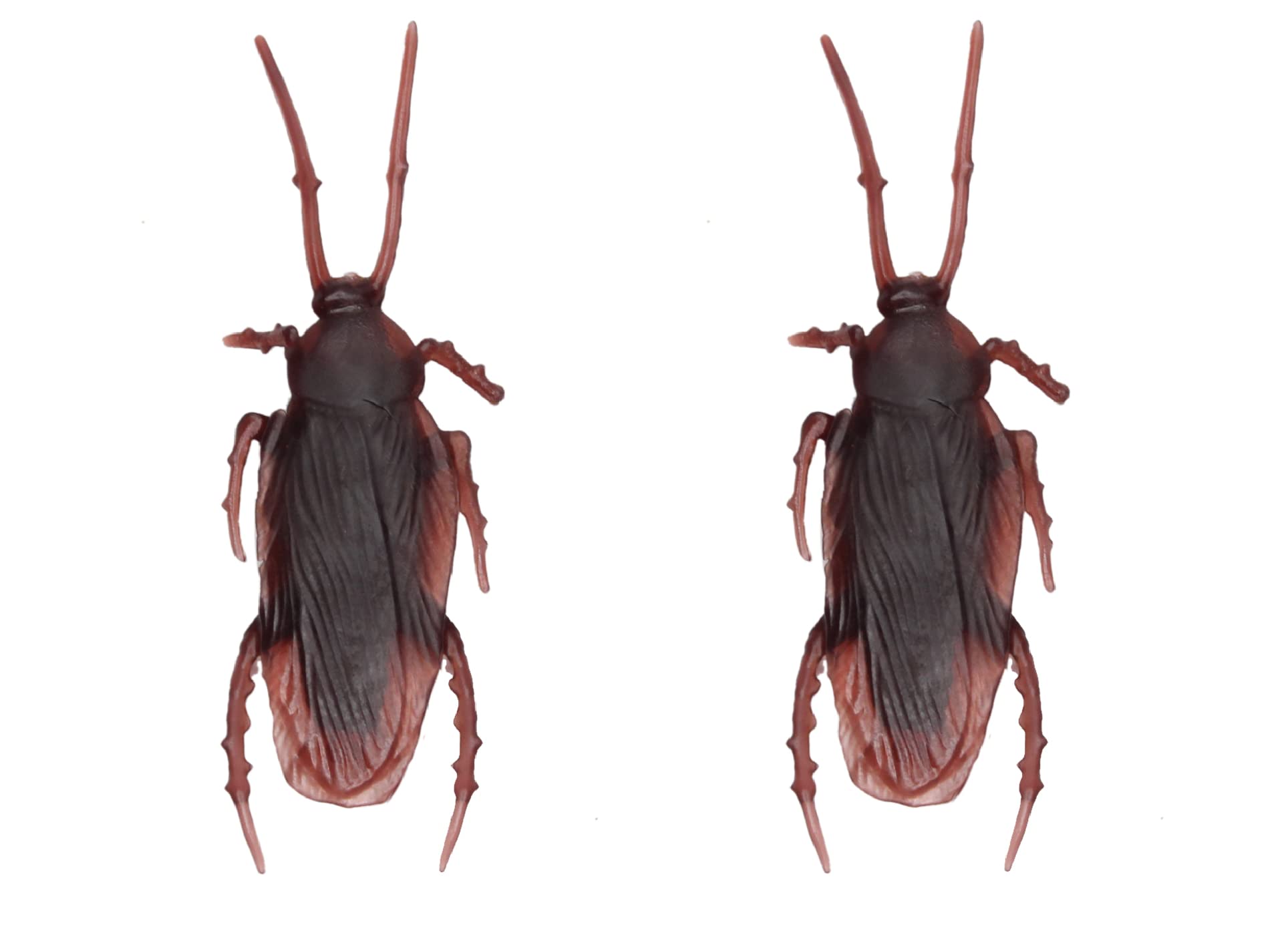 See full amazon price history chart for Baal Fake Cockroach Prank Trick Toys Looks Real (Brown) for Kids (Set of 2) Baal Fake Cockroach Prank Trick Toys Looks Real (Brown) for Kids (Set of 2) (B08X18721R) Amazon Price History, Amazon Price Tracker