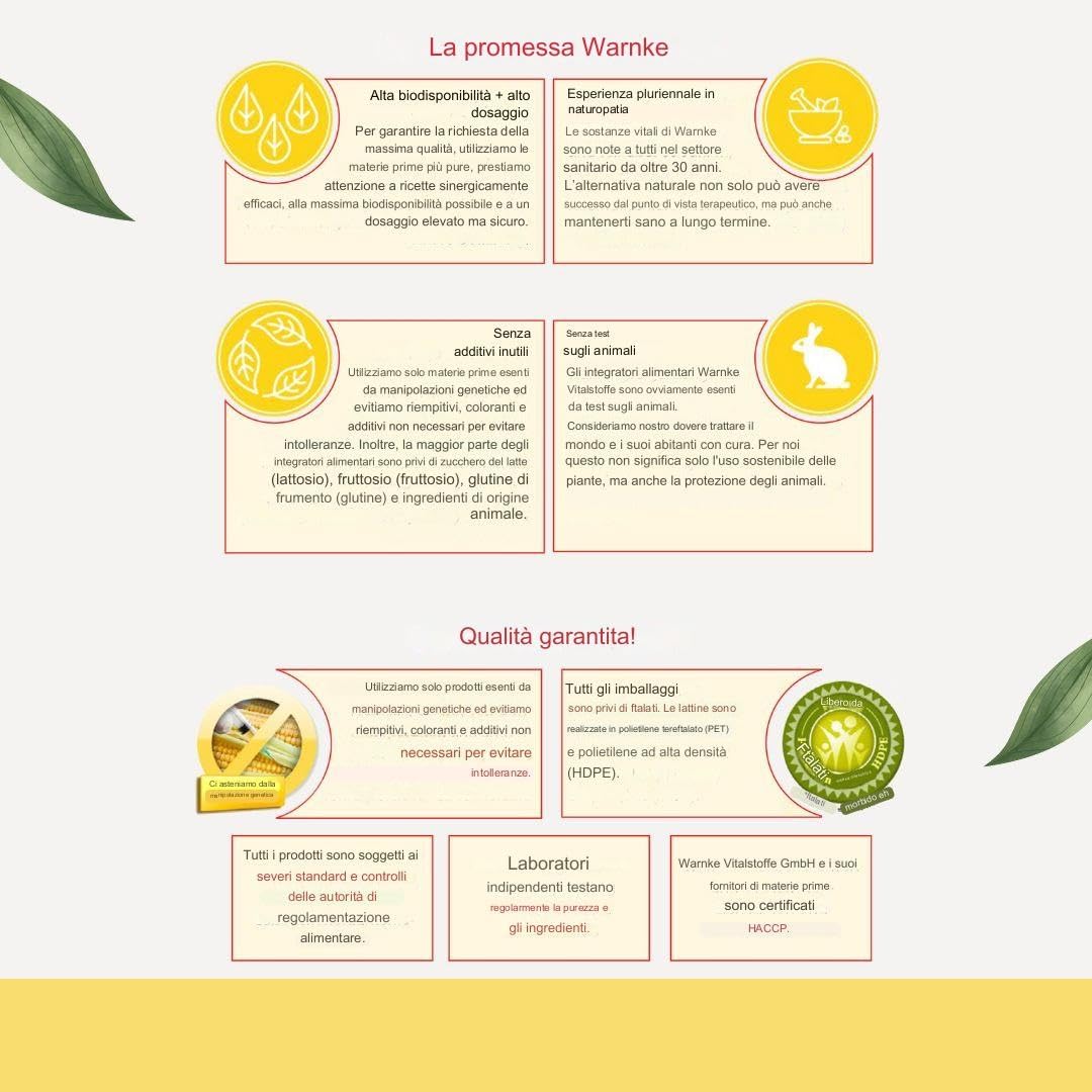 Coleus Forskohlina integratore - Estratto - con 10mg di Forskolin - 60 Capsule | HERBADIREKT by Warnke Vitalstoffe - Qualità da farmacia tedesca