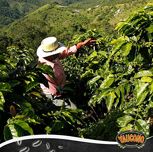 Yaucono Ground Coffee Bagged, 8 Ounce (Pack of 8) - Thumbnail 7