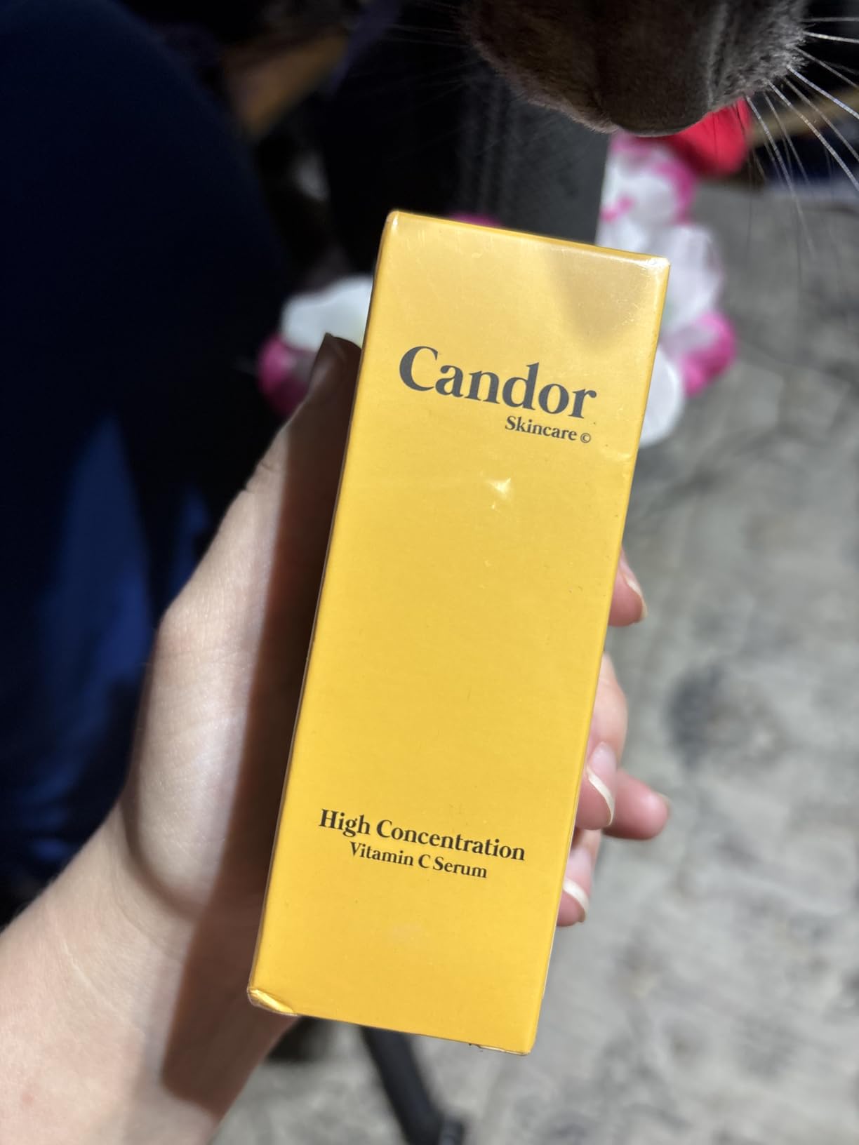 Candor Skincare High Concentration Vitamin C Serum