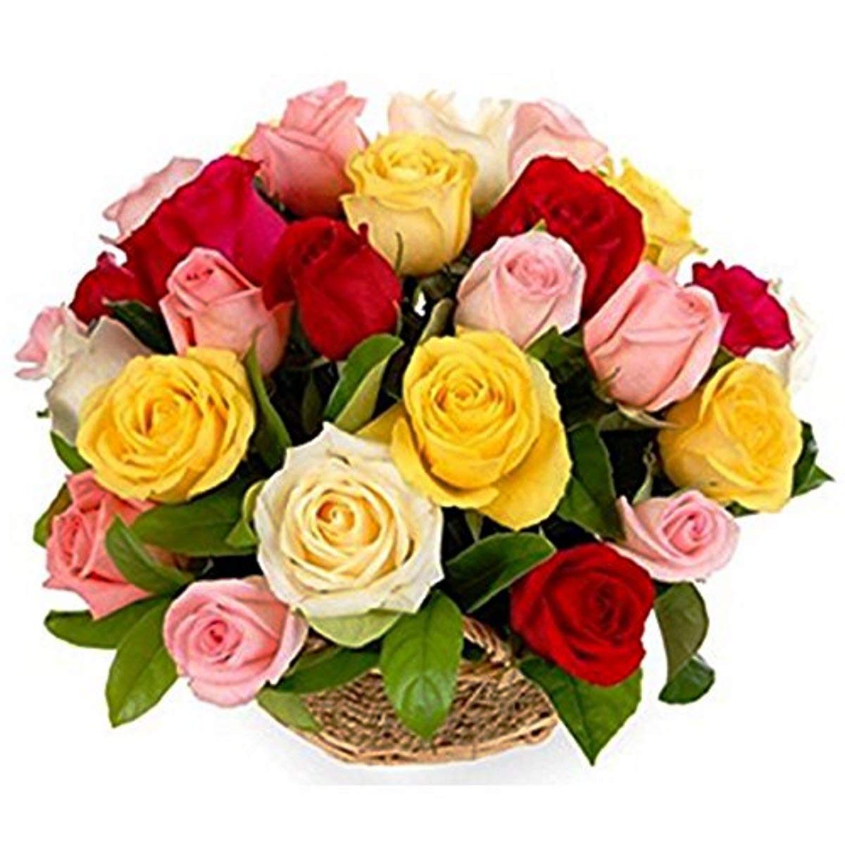 Valentine's Day Special Fresh Flowers Basket Arrangement of 23 Mixed Roses || Bunch of 23 (Multicolour)-image-13