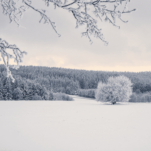 Winter Ambience Sounds