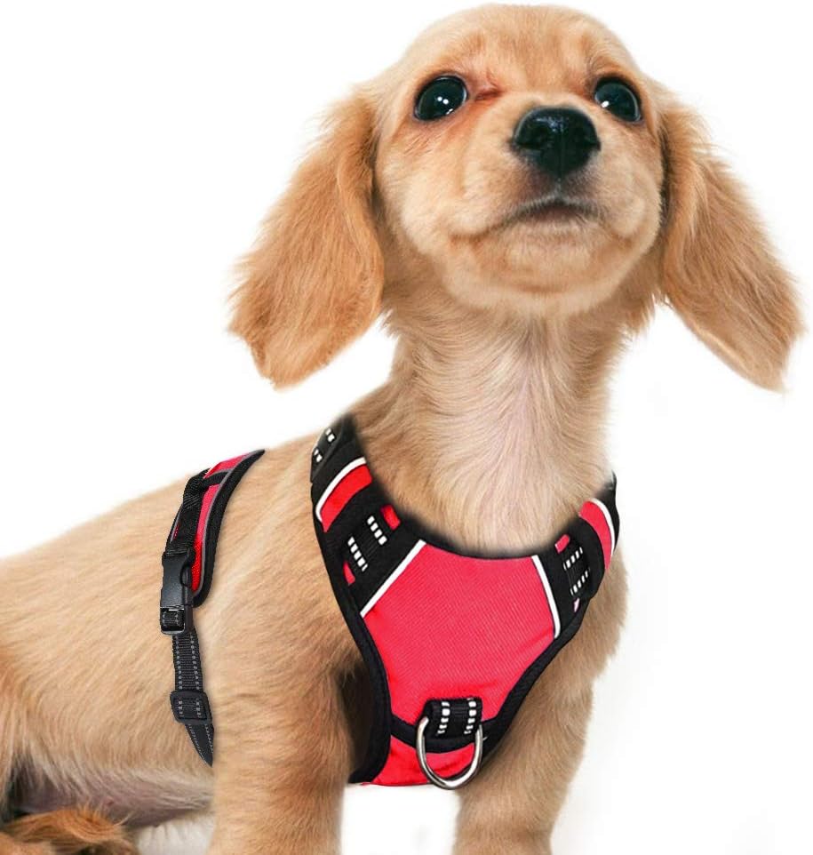 Dog Harness No Pull - Adjustable Pet Chest Harnesses with 2 Clips - 3M Reflective Oxford Material for Safe Control - Easy Walk Vest for Small Large Breed (Red) (S)