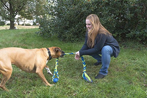 PetSafe Brinquedo para cães Infini-Tug