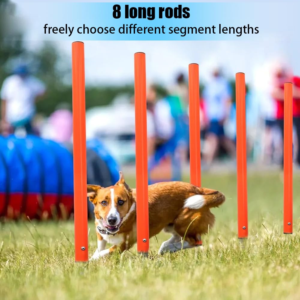 Agility Perros,Equipo De Entrenamiento De Agilidad, Equipado Con Túnel Para Perros, Vallas, 8 Postes De Slalom,2 Juguetes De Pelota De Tenis, Caja De Descanso, Postes De Marcación, 3 Barras Cortas