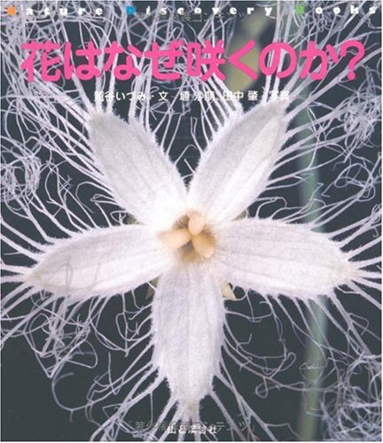 はなはな 高崎市鼻高町の鼻高展望花の丘では ネモフィラが見頃を迎えています