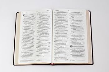 Niv English Bible Brown Anglicised Version | Cromwell Bonded