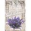 French Lavender - 2 Sheets