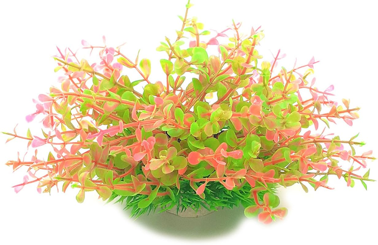 Jainsons Aquarium Decoration Grass Plant for Fish Tank | Pink-Green 16 Cm | 1 Plant (B0D2J3PQ5V) Amazon Price History, Amazon Price Tracker