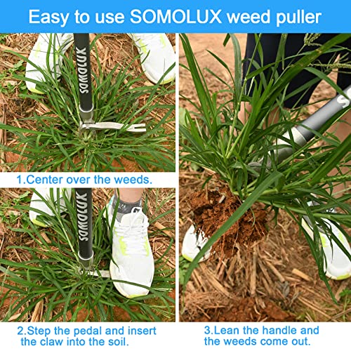 Somolux 52'' Weed Puller Gardening Tool Stand-Up Weeder Metal Long Handle And Stainless Steel Claw, No Bending Or Kneeling To Easily Remove Weeds From Backyard Lawn Patio (Lenth:52'') #TOP3