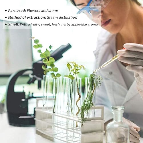 Miniatura 6 de Paquete de 2 aceites esenciales de manzanilla romana, aceites esenciales de manzanilla pura y natural para difusores para el cuidado del hogar y la