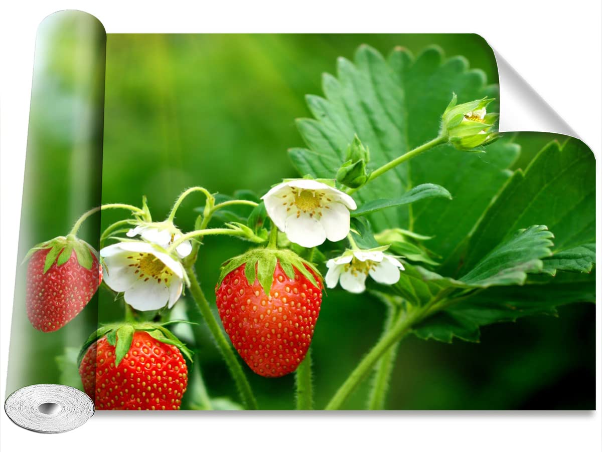 Papier peint moderne fraise verte design camouflage Tulup