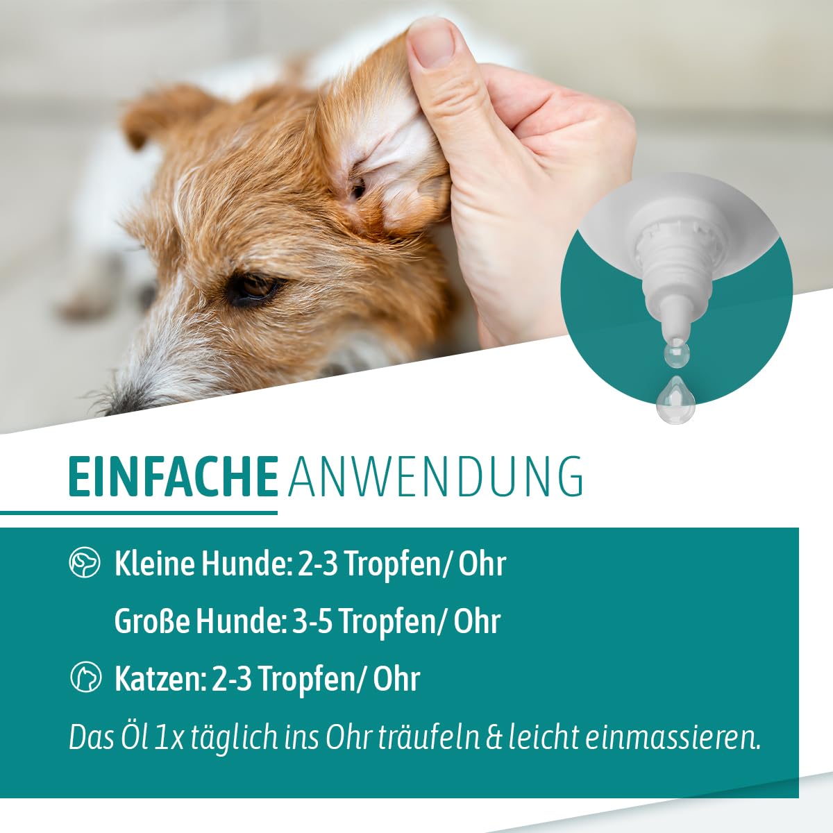AniGo Huile anti-acariens pour chiens et chats 50 ml – Huile d'oreille nourrissante à la camomille contre les acariens – Soutien doux en cas de démangeaisons et oreilles irritées