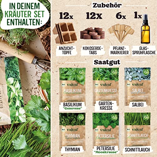 Valeaf Bio Kräuter Starter Set Anzuchtset für Küchenkräuter