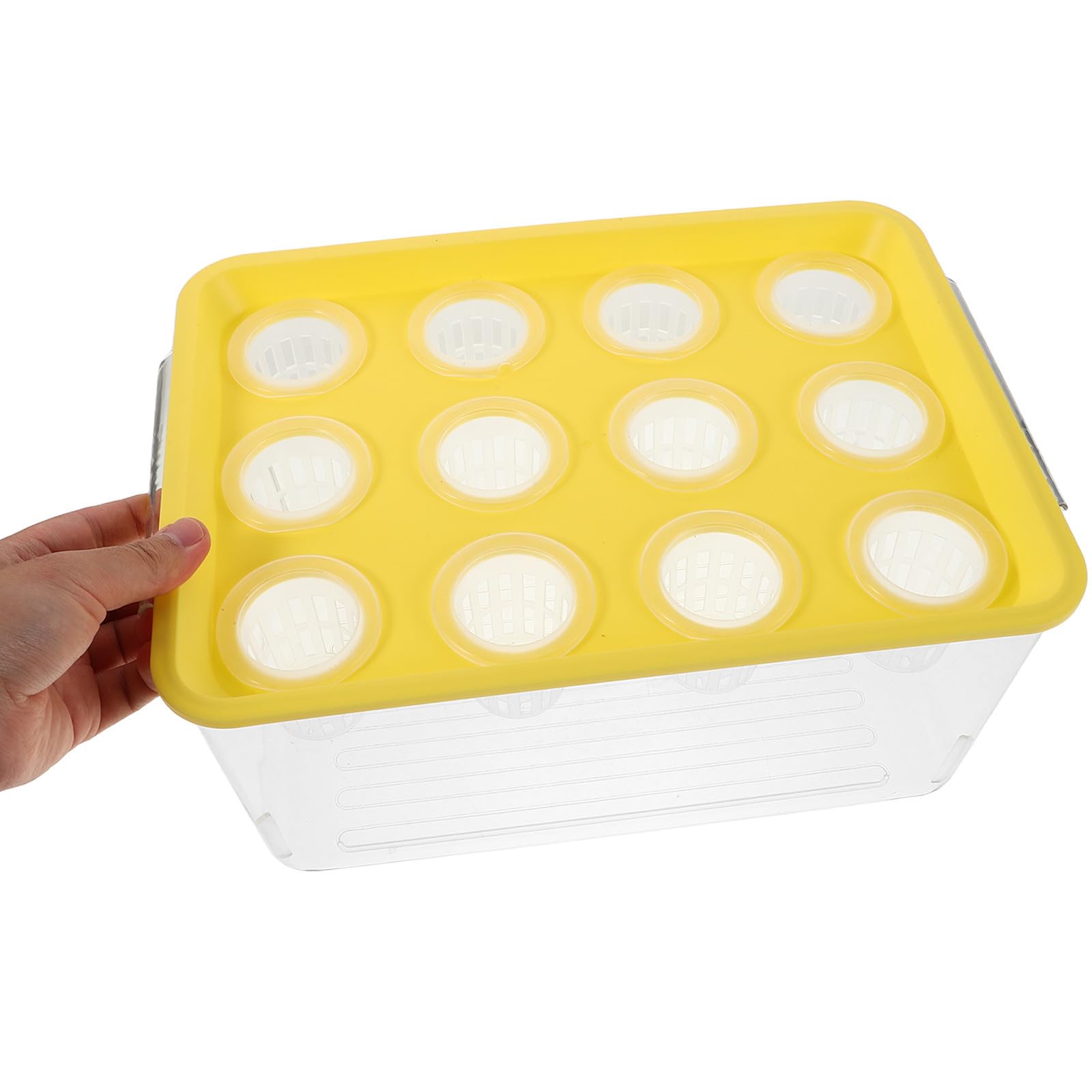 HEALLILY Aquarium Aquaponique pour Poissons avec Couvercle de Sécurité en Plastique, Système de Jardinage Intérieur Intégré pour Plantes et Poissons, Décoration pour Salon