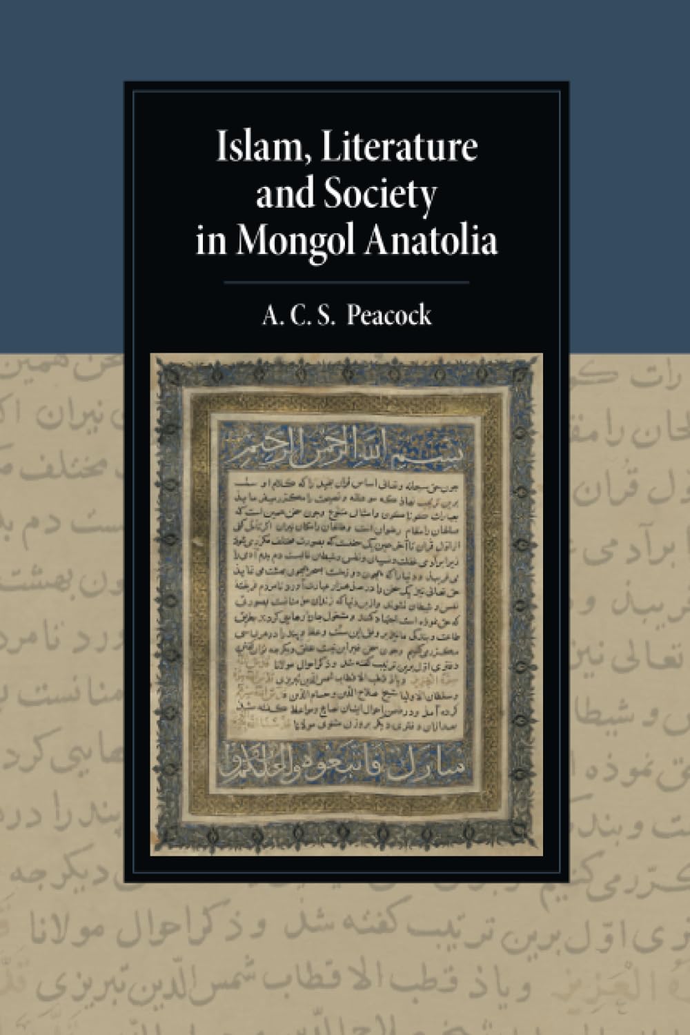 Islam, Literature and Society in Mongol Anatolia (Cambridge Studies in Islamic Civilization)