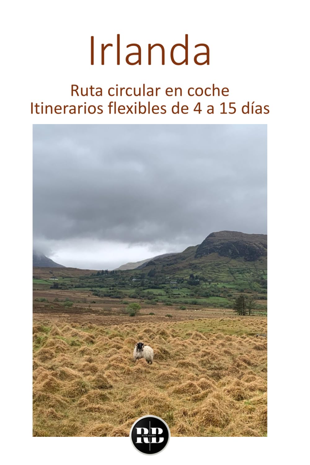Irlanda: Ruta circular en coche. Itinerarios flexibles de 4 a 15 días (Spanish Edition)      Paperback – February 22, 2026