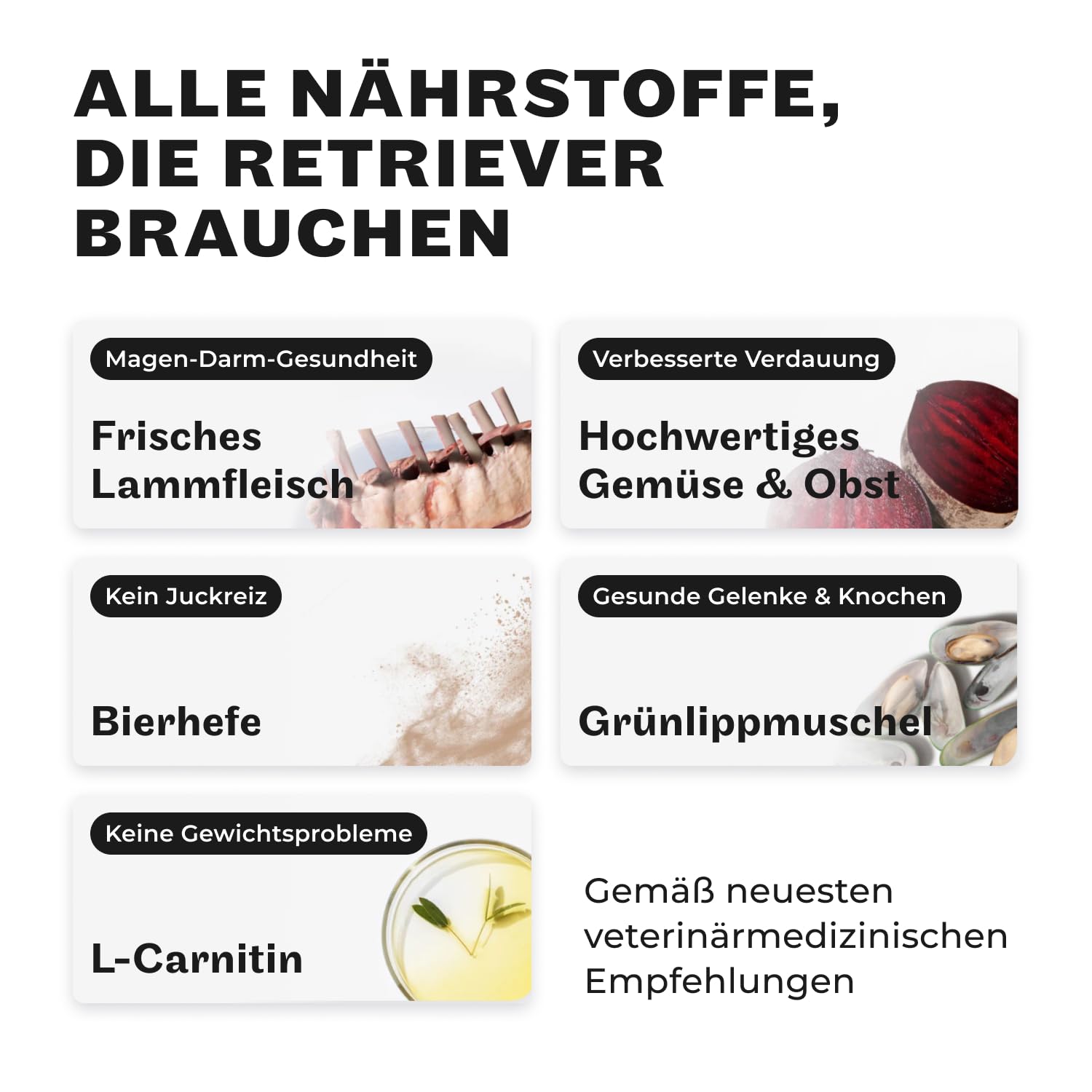 HEY HOLY Set 7 kg Trockenfutter & 1 x 200 g Snacks für Retriever 100% getreidefrei | Hundefutter & Leckerlis für ausgewachsene Retriever mit Lamm | Hochverträglich aus natürlichene Zutaten