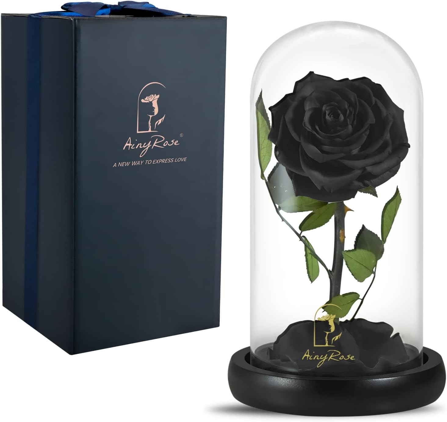 SW Forever Preserved Real Black Rose Flower Birthday Gift for Mom Women,Valentines Eternal Flower in Glass Gifts for Mothers Day Christmas Anniversary Birthday (Black)