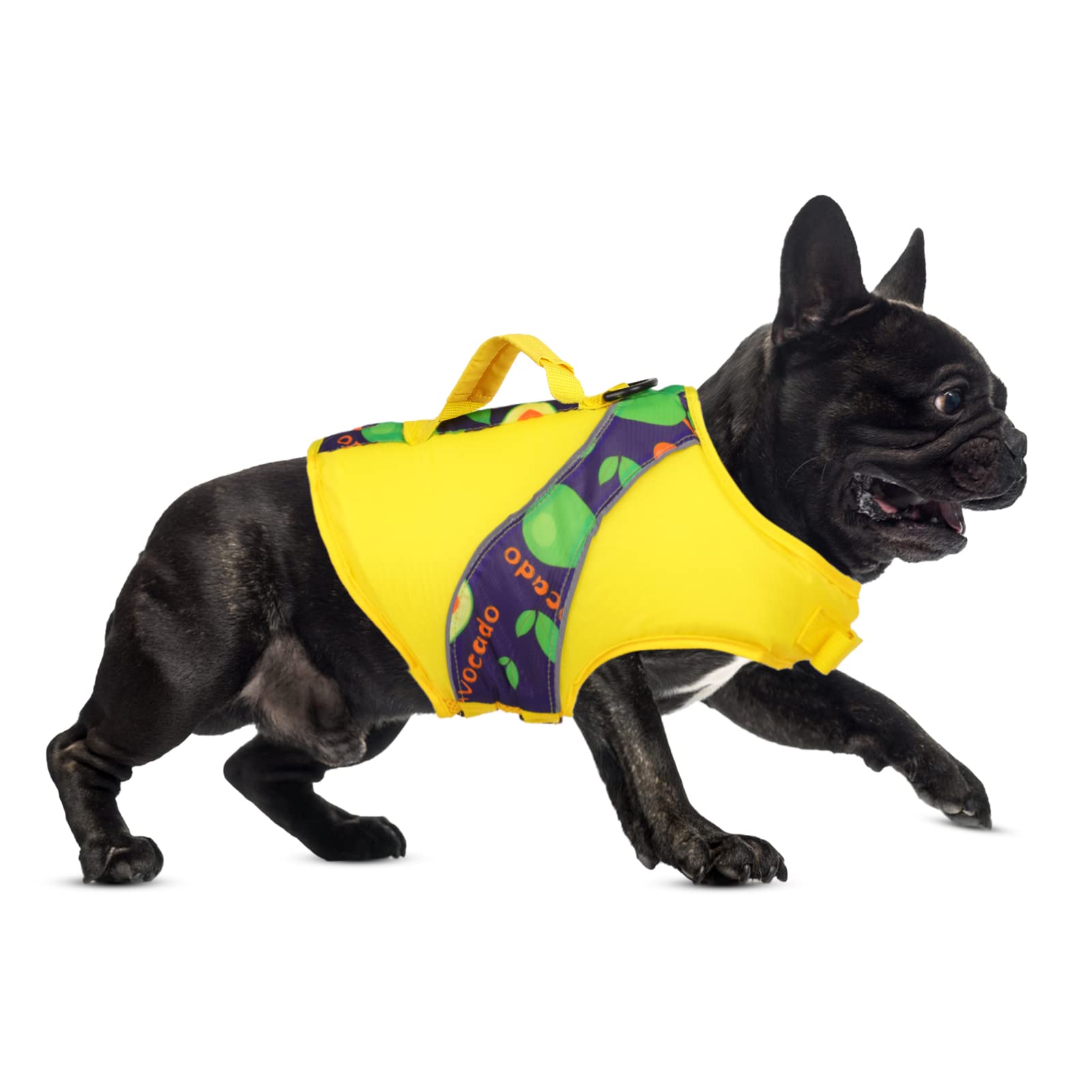 Queenmore Dog Life Jacket with High Buoyancy, Ripstop Durable Dog Life Vest with Rescue Handle, Quick-Dry Print Nylon Material for Dog Swimming, Boating, Canoeing Small